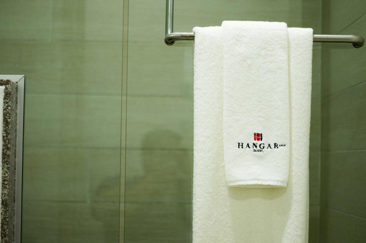 Hangar Inn Guadalajara Aeropuerto San Jose del Castillo Zewnętrze zdjęcie